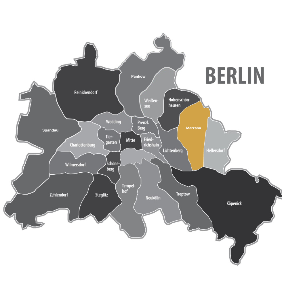 Umzug Berlin Pankow - Movelo logistics
